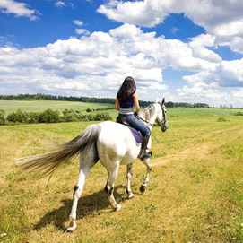 Passeggiate a cavallo sul Delta del Pò